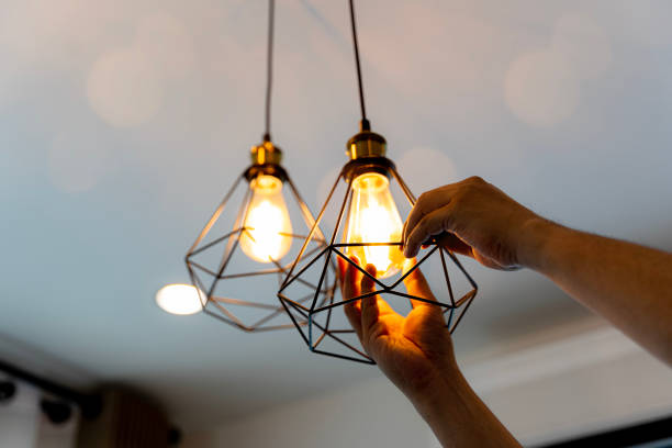 Best Home Electrical Repair  in Essex, IL
