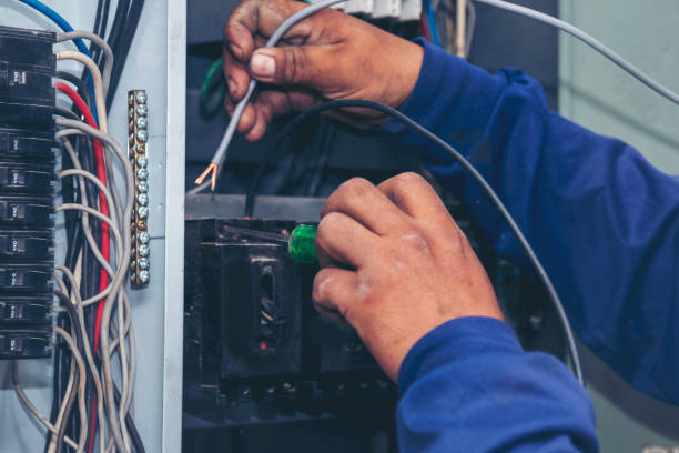 Best Residential Electrician Services  in Essex, IL